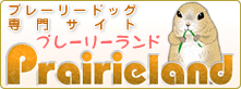プレーリードッグ専門サイト　プレーリーランド