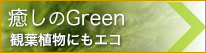 癒しのグリーン